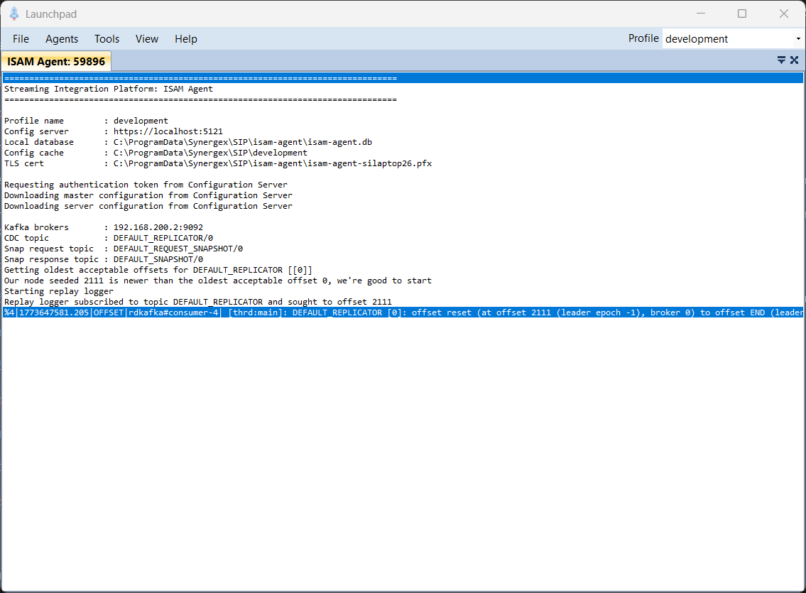 Screen Capture